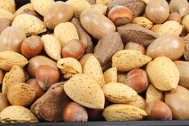 Nüsse / nueces / nuts